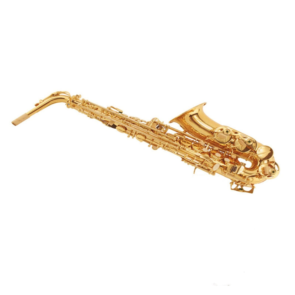 E Flat Alto Saxophone Set T32015