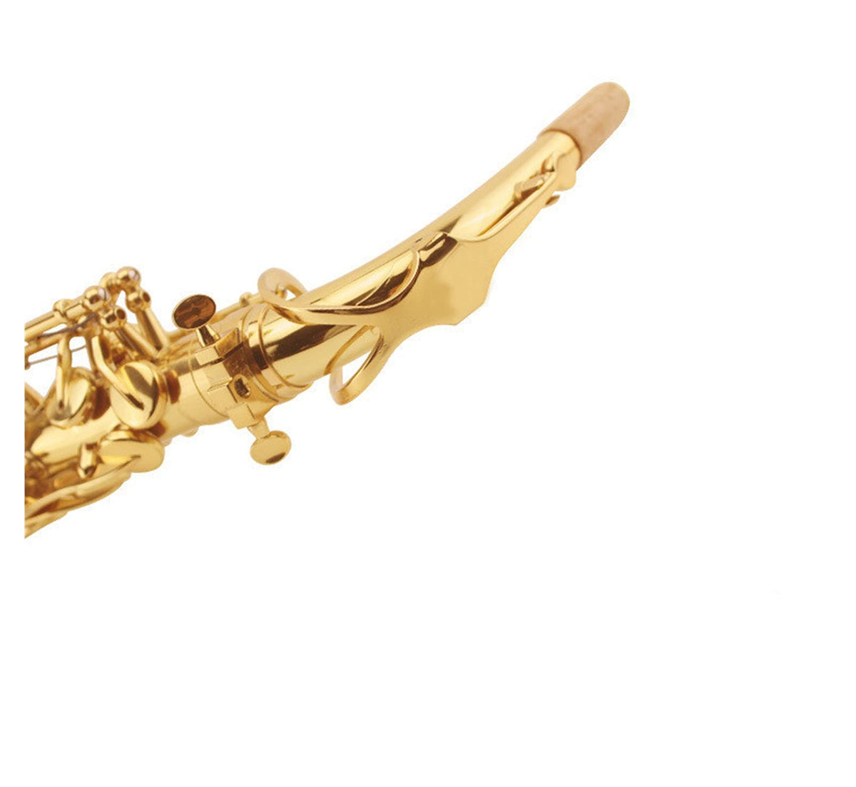 E Flat Alto Saxophone Set T32015