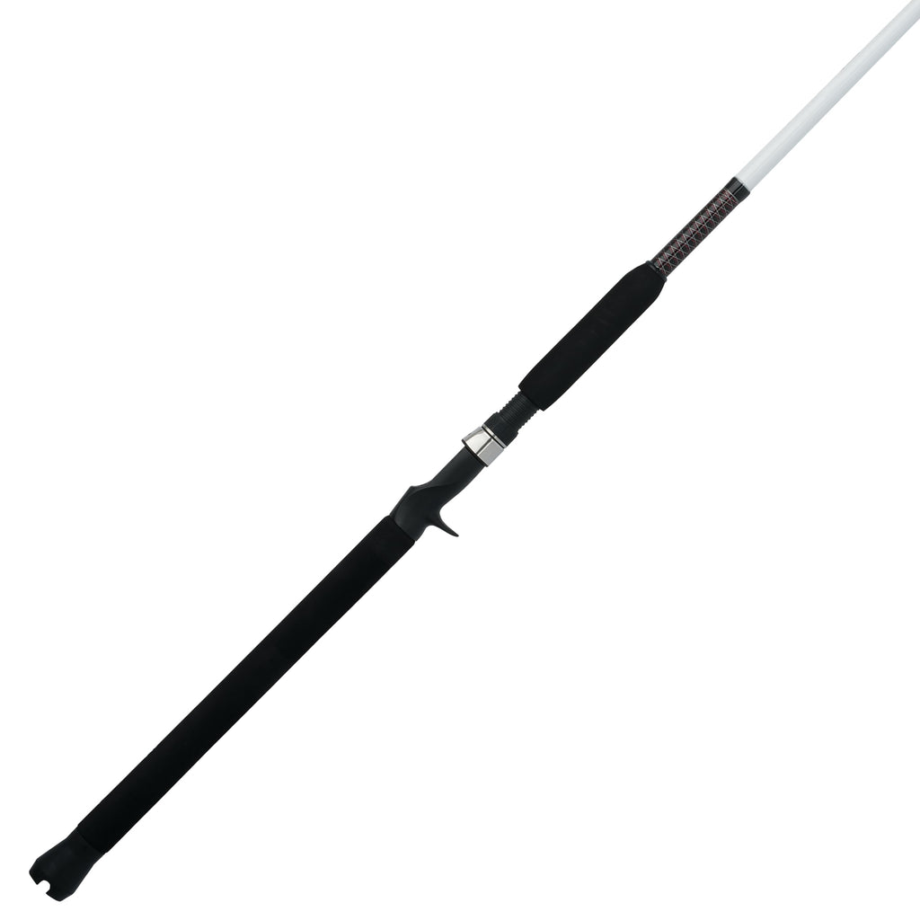 Spinning Fishing Rod N92581