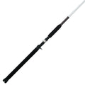 Spinning Fishing Rod N92581