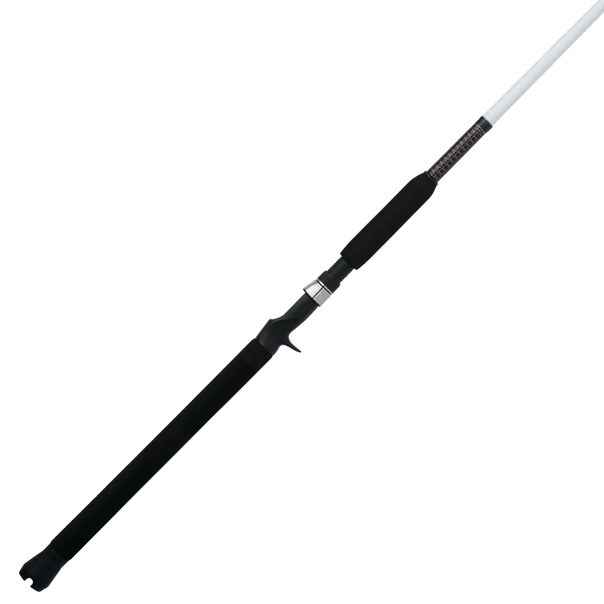 Spinning Fishing Rod N92581