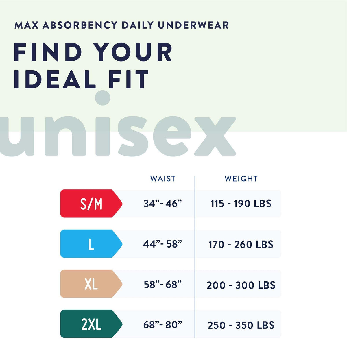 Disposable Incontinence Underwear 12 ct C668