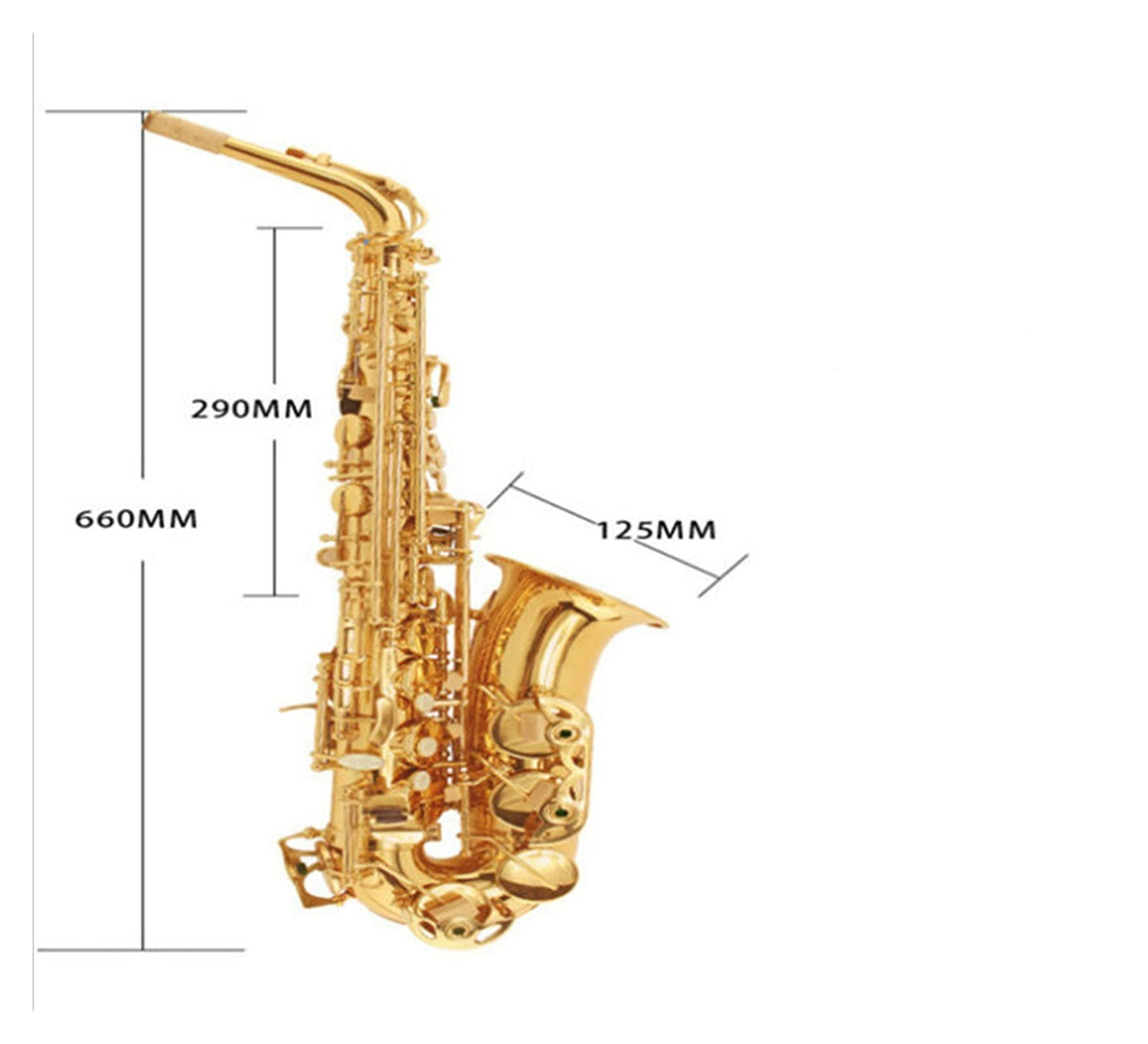 E Flat Alto Saxophone Set T32015