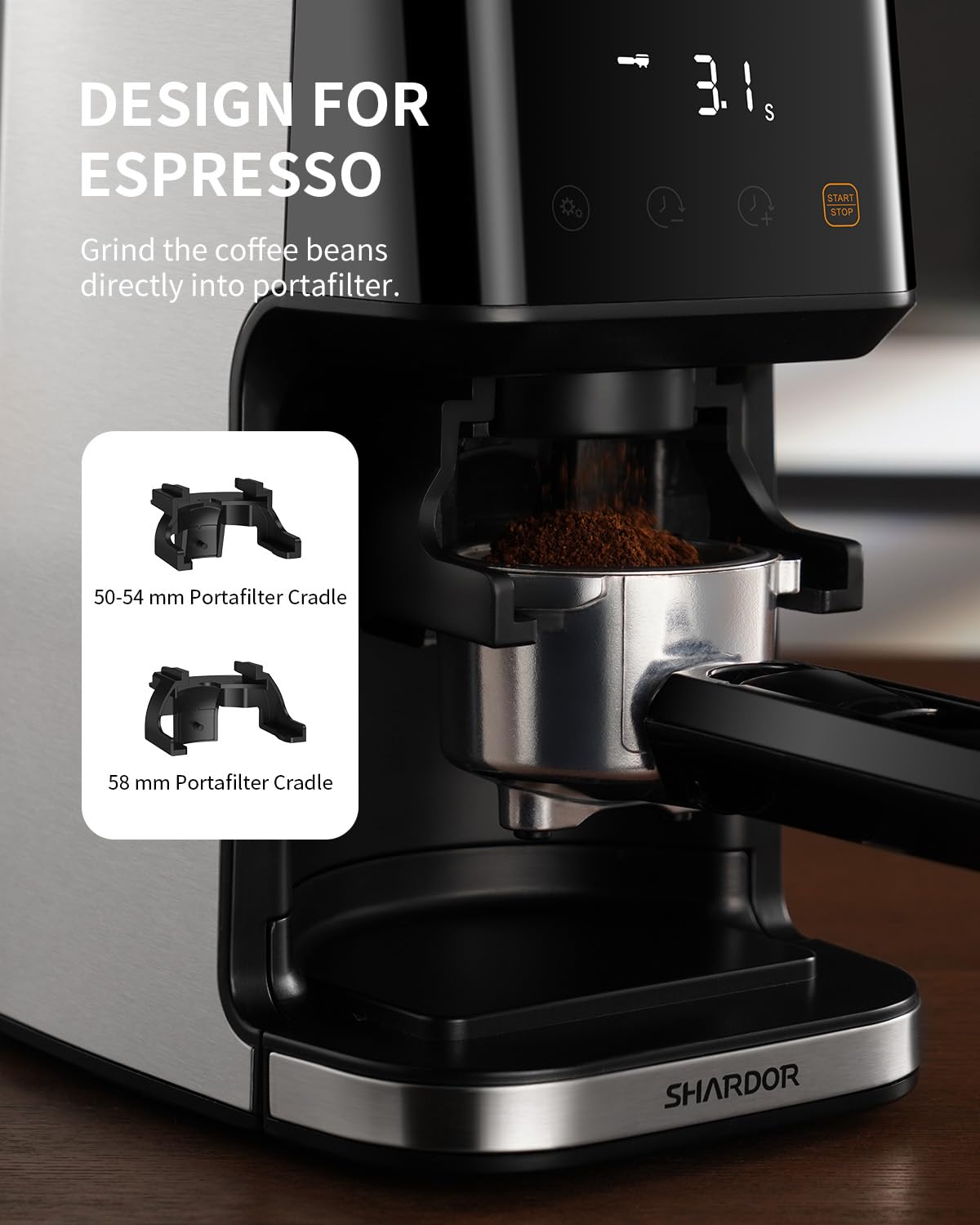 Electric Conical Burr Coffee Grinder with Timer R6859