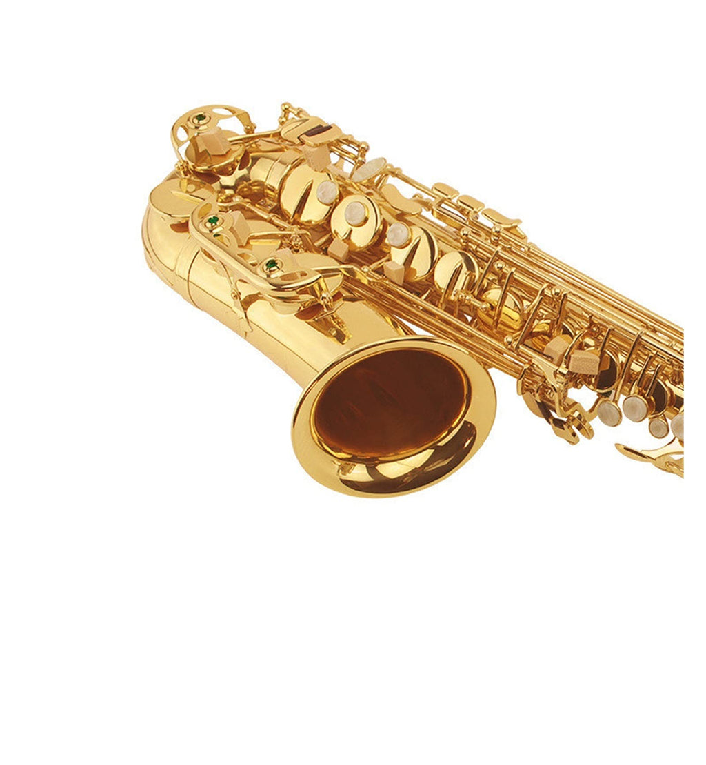 E Flat Alto Saxophone Set T32015