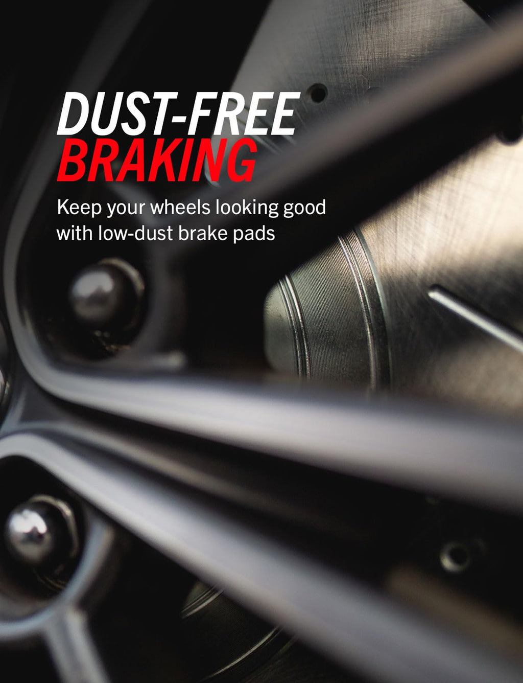 Rear Brake Pad & Rotor Kit P450