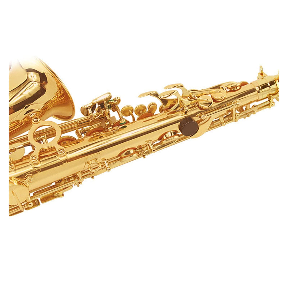 E Flat Alto Saxophone Set T32015
