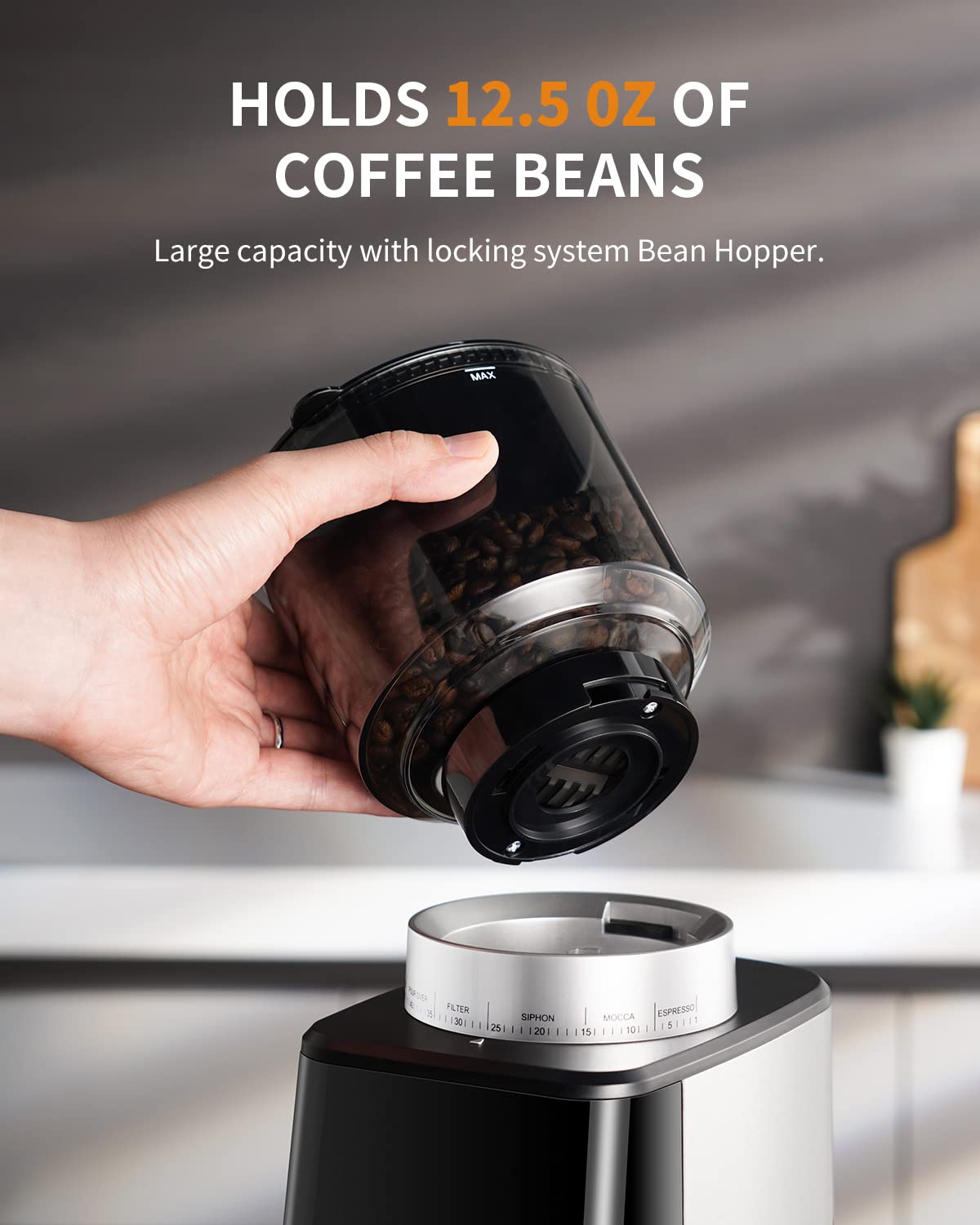 Electric Conical Burr Coffee Grinder with Timer R6859