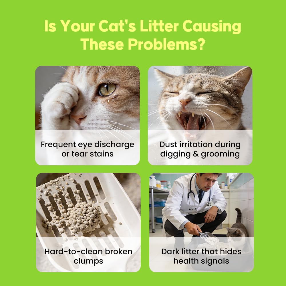Cassava Cat Litter, Odor Control Dust-Free Clumping Litter T808170