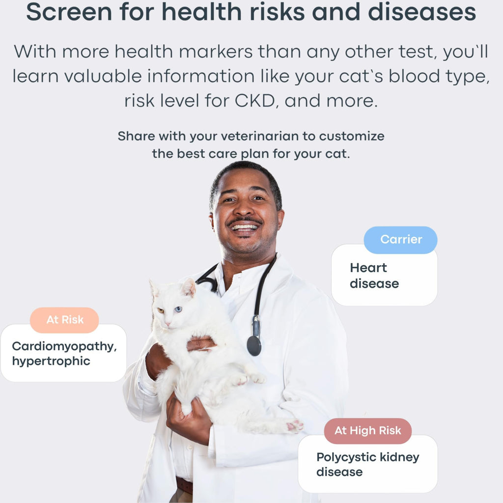 Cat DNA Test Kit O403725