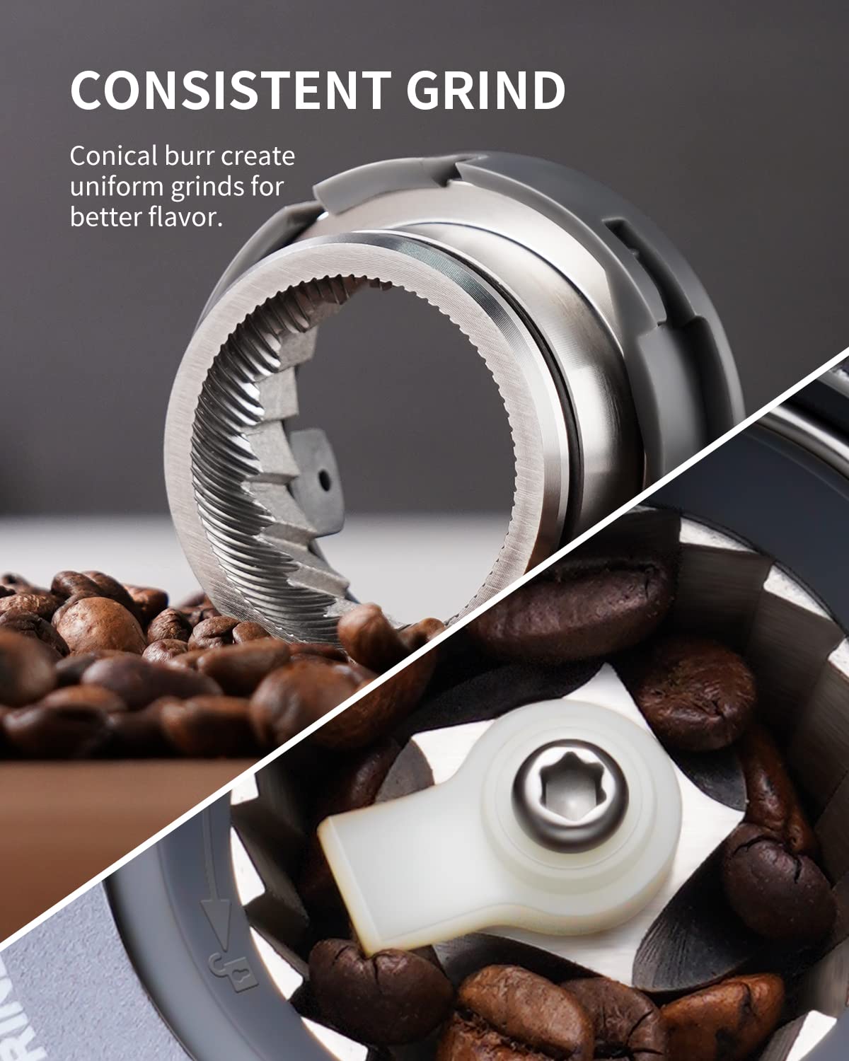 Electric Conical Burr Coffee Grinder with Timer R6859