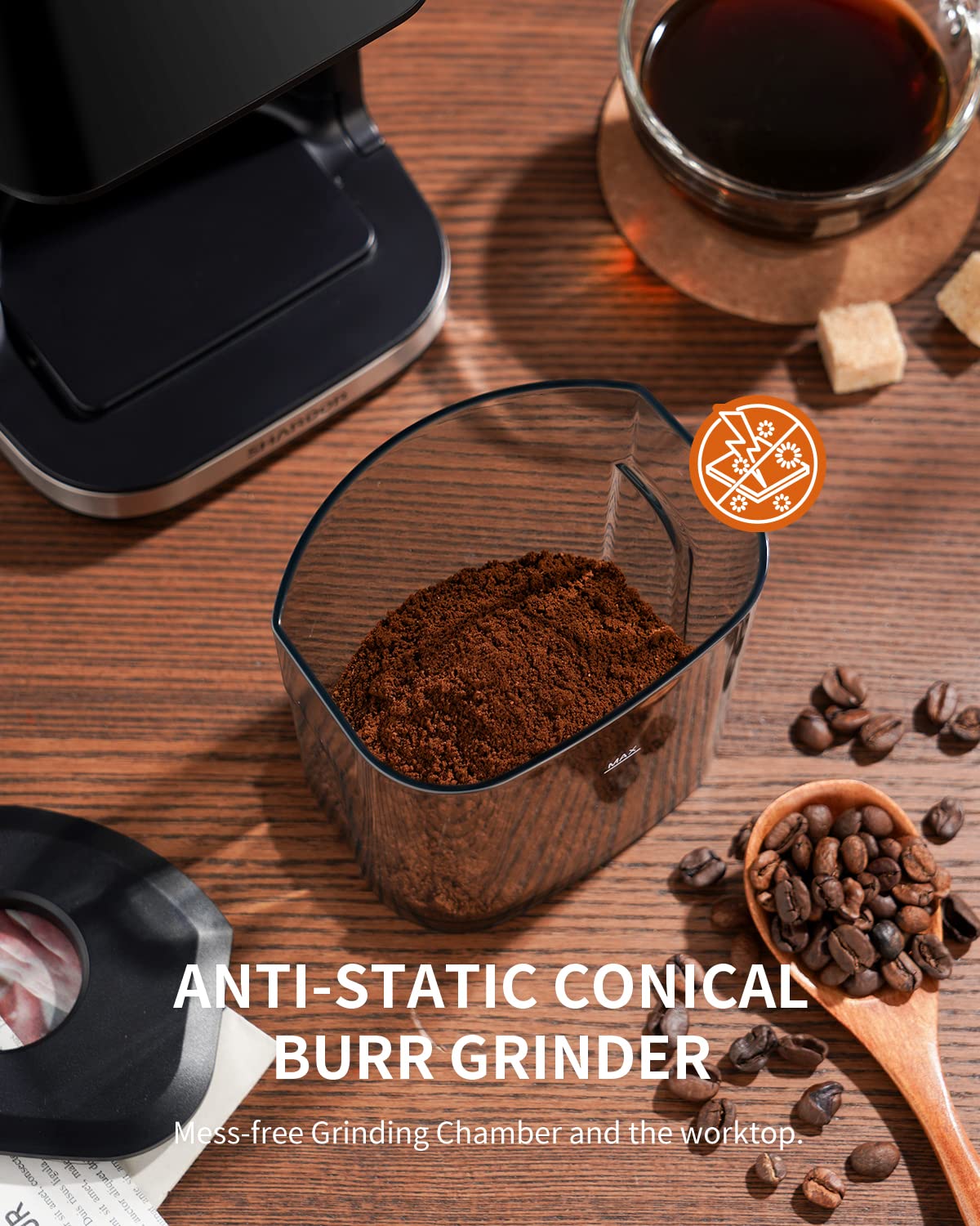 Electric Conical Burr Coffee Grinder with Timer R6859