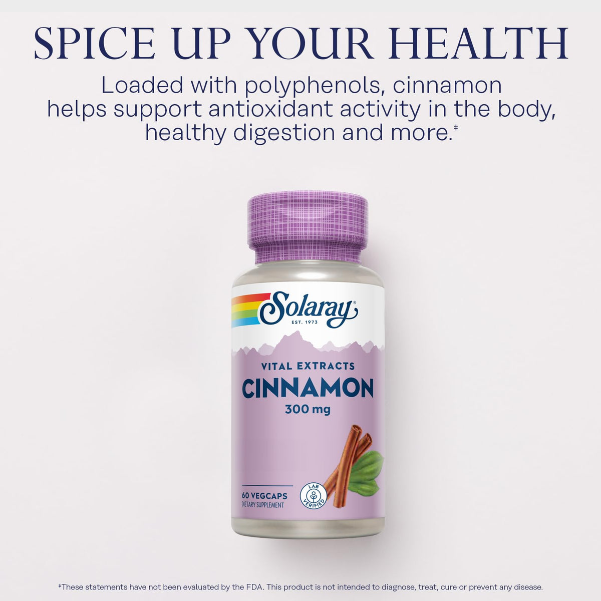 Cinnamon Extract 300 Mg 60 VegCaps G25315