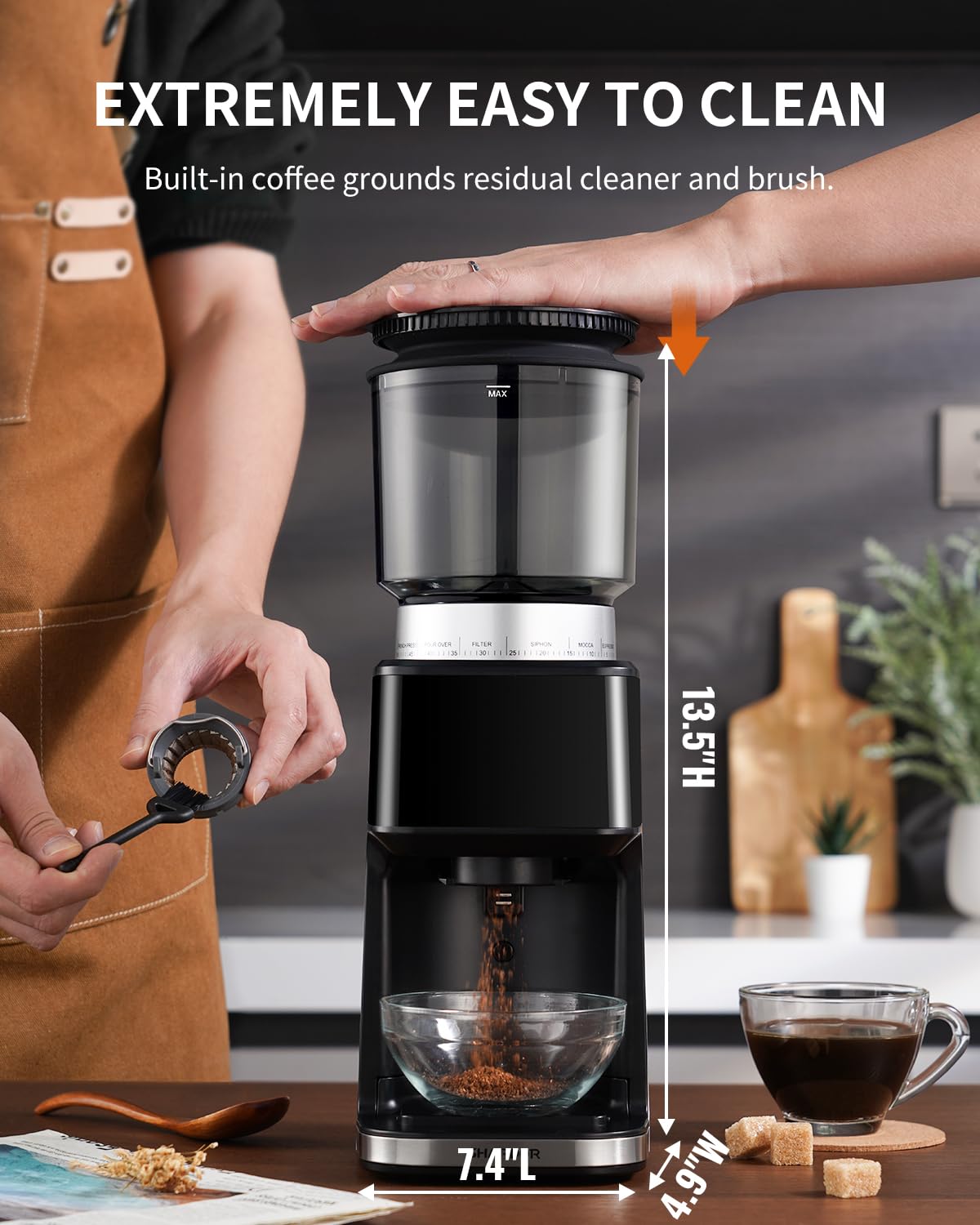 Electric Conical Burr Coffee Grinder with Timer R6859