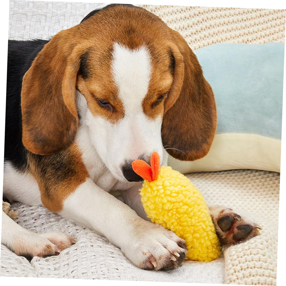 2 Pack Plush Squeaky Dog Toy K212499