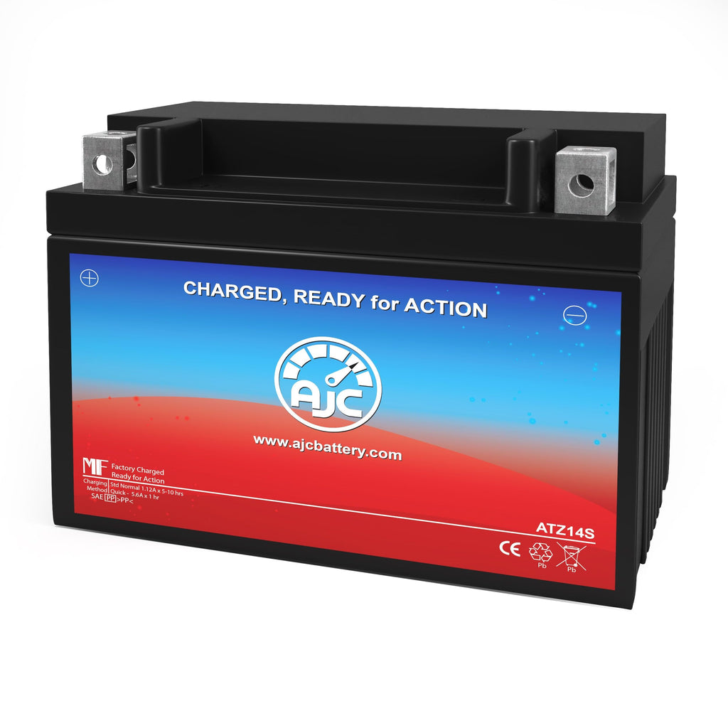 12V 11.2Ah Generator Battery P204