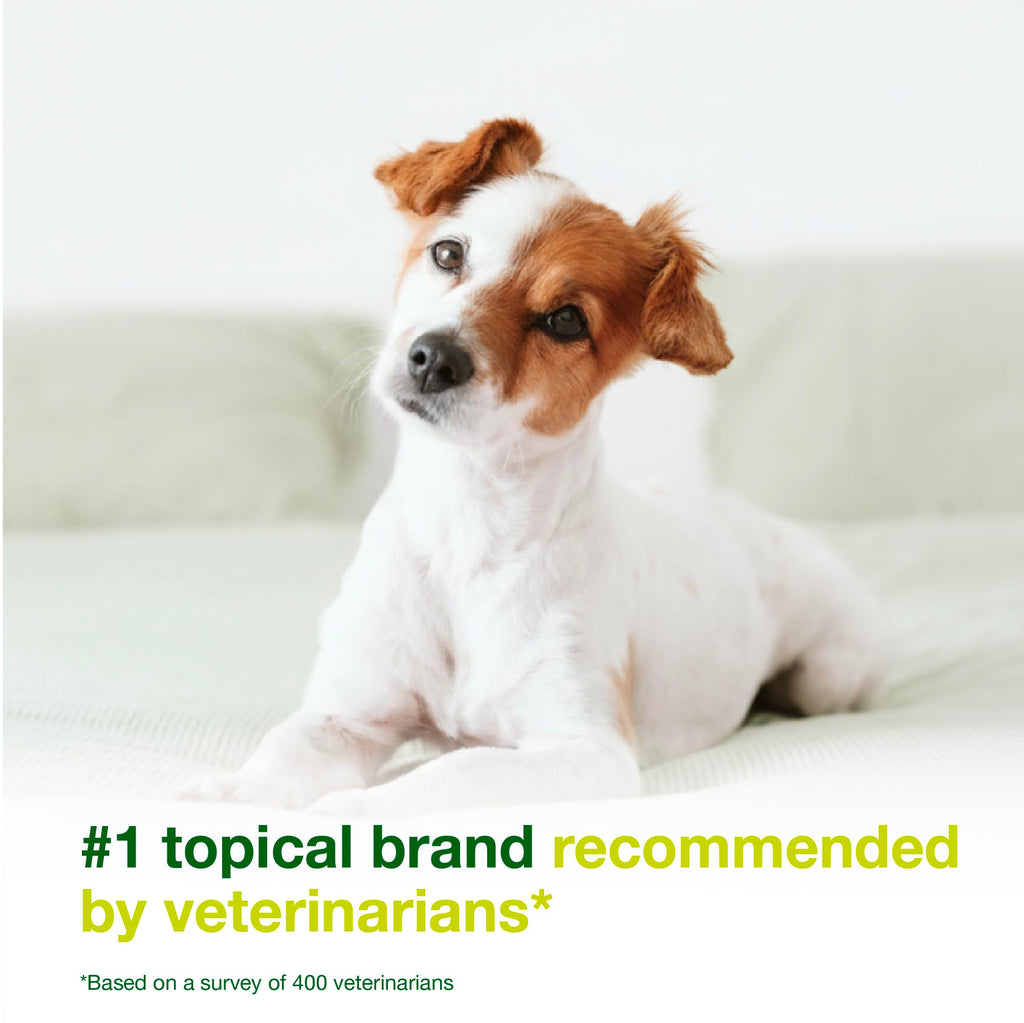 Dog Seboregulating Shampoo & Mousse Y439316