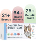 Cat DNA Test Kit O403725