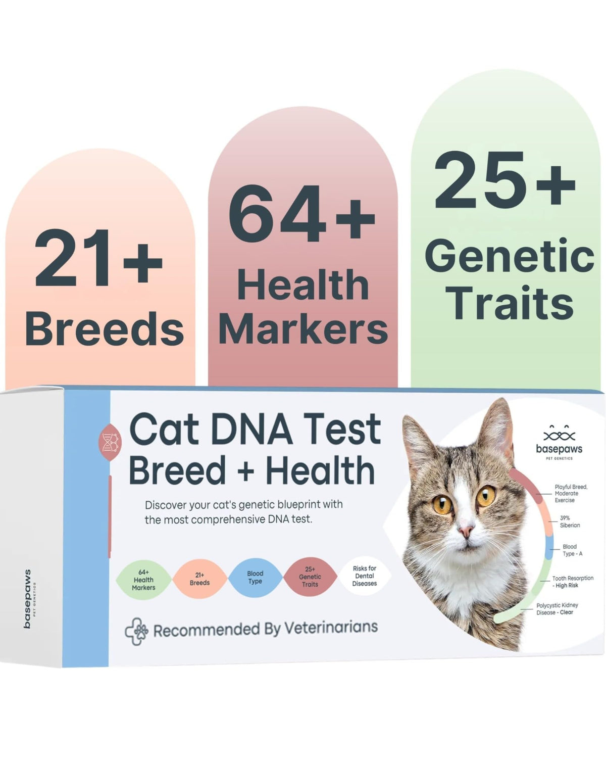 Cat DNA Test Kit O403725
