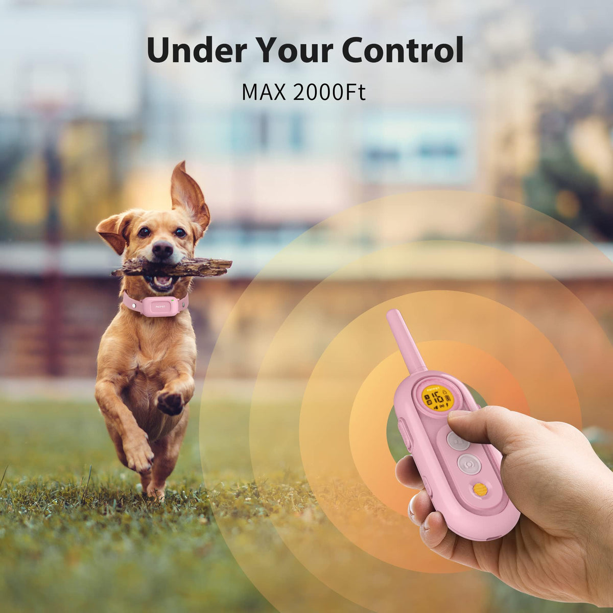 Rechargeable IPX7 Waterproof Dog Training Collar with Remote W55752