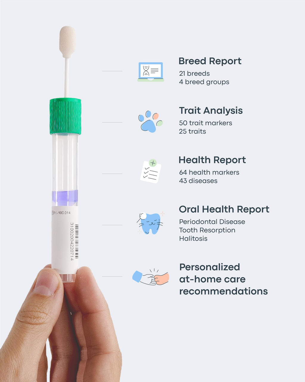 Cat DNA Test Kit O403725