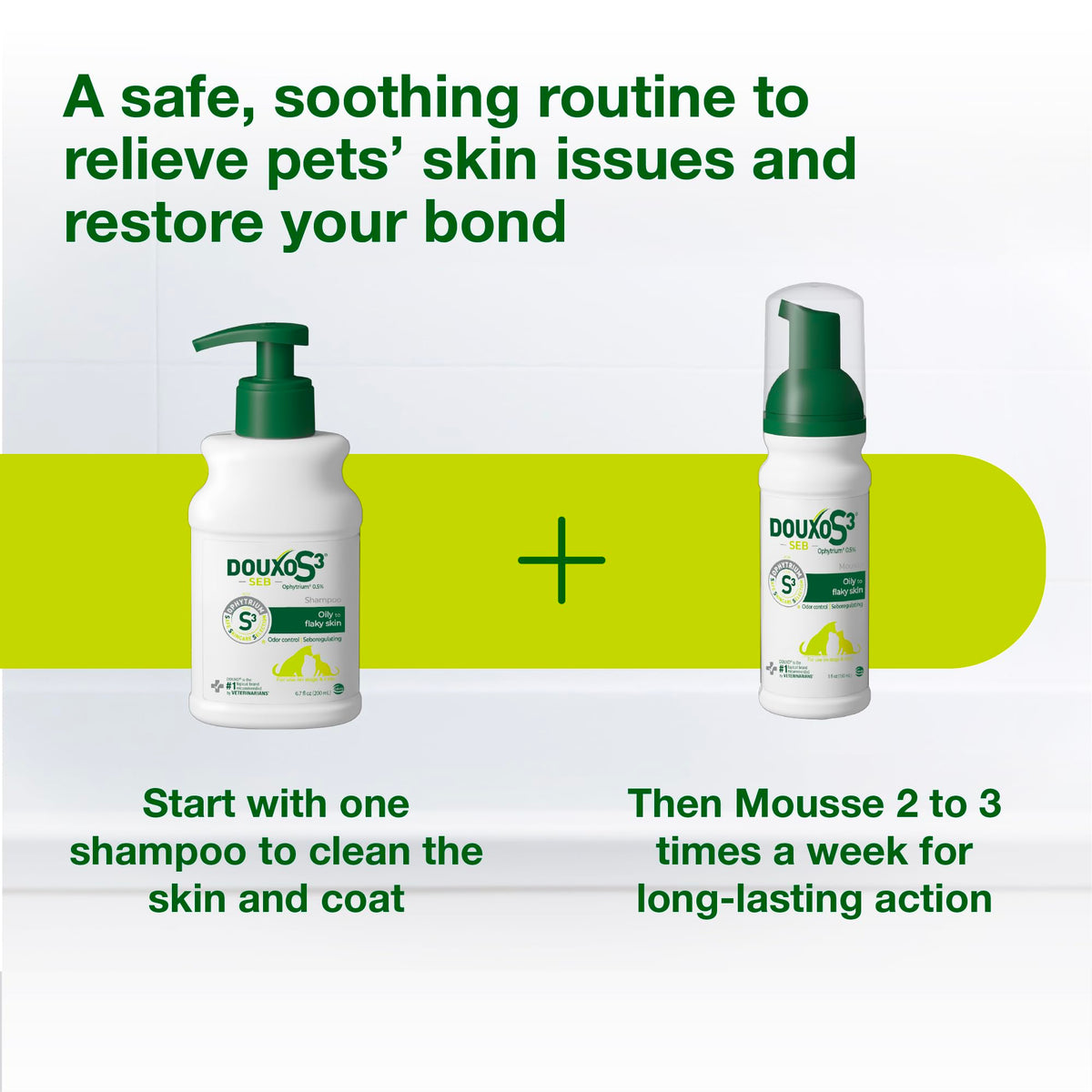 Dog Seboregulating Shampoo & Mousse Y439316