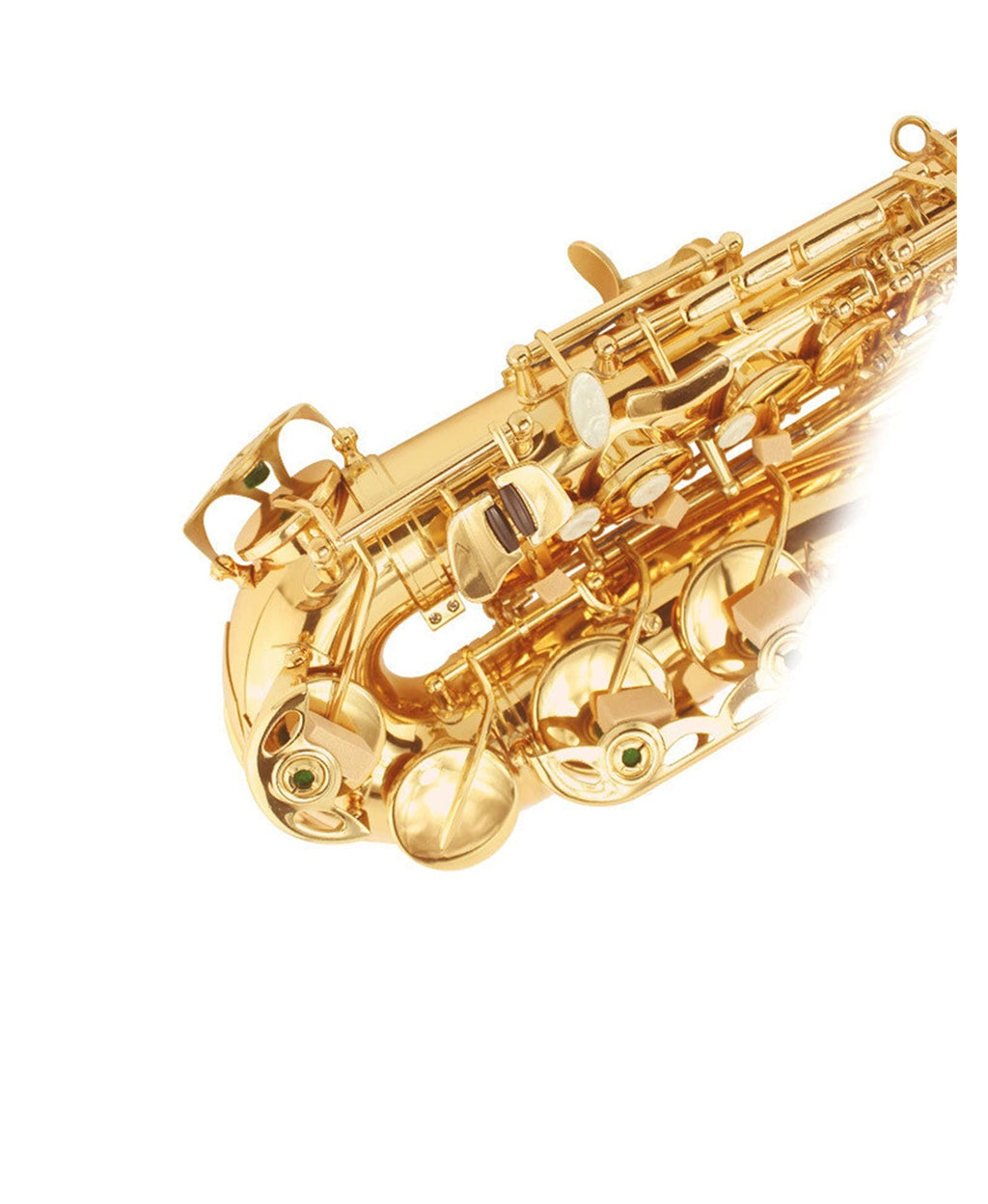 E Flat Alto Saxophone Set T32015