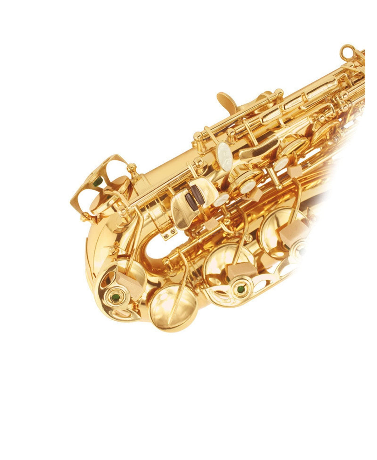 E Flat Alto Saxophone Set T32015