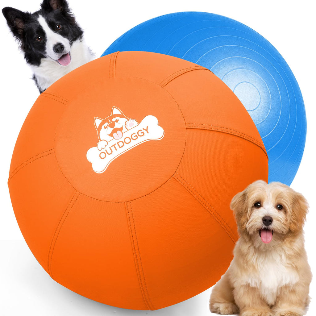 18'' Herding Ball for Dogs B50662