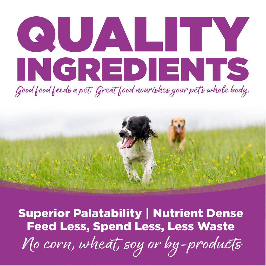 Large Breed Puppy Chicken & Rice Dry Dog Food 26 lb V1172