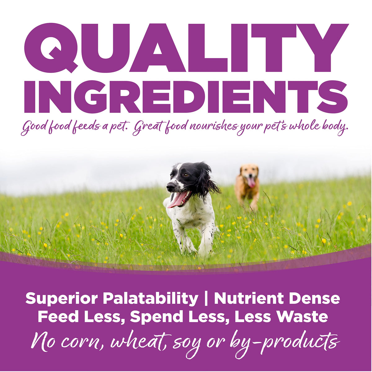 Large Breed Puppy Chicken & Rice Dry Dog Food 26 lb V1172