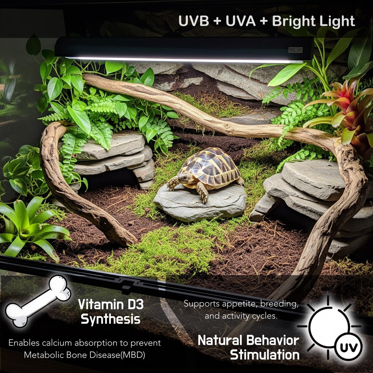 10.0 UVB 8W Fluorescent Lamp and Fixture Kit B4190