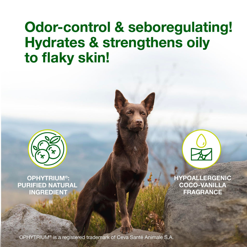 Dog Seboregulating Shampoo & Mousse Y439316