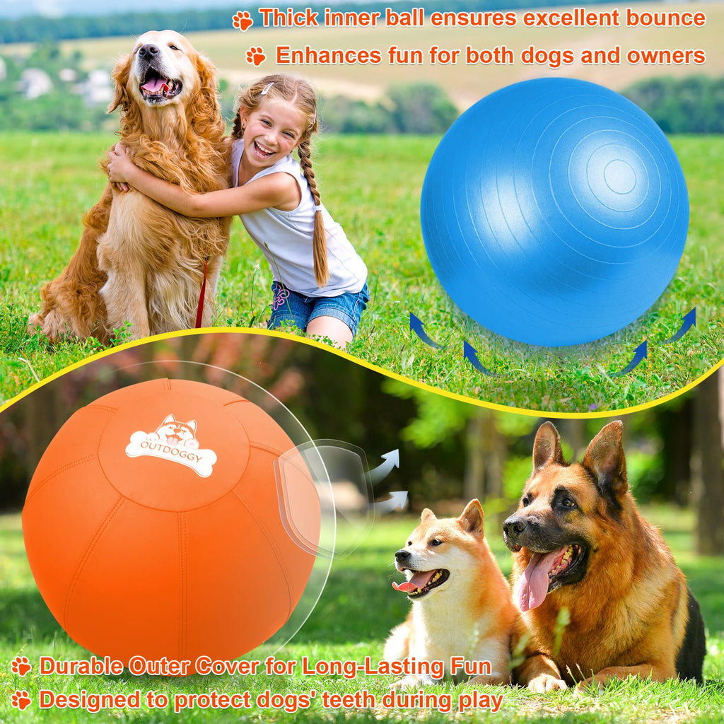 18'' Herding Ball for Dogs B50662