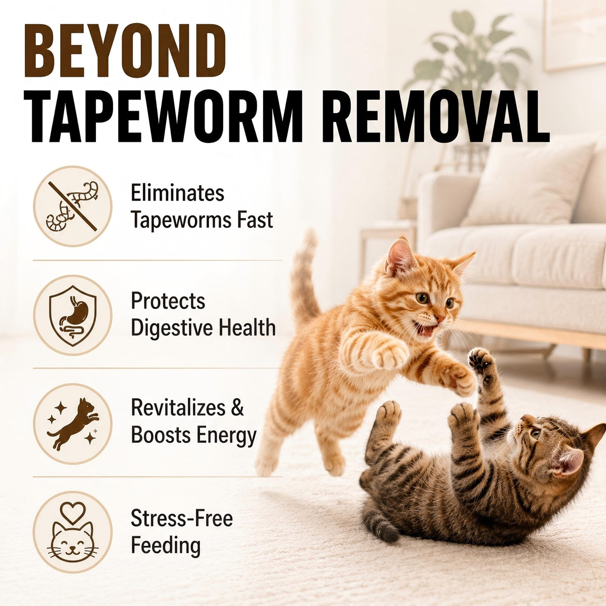 Cat Tapeworm Dewormer Liquid 100 mL Z7637