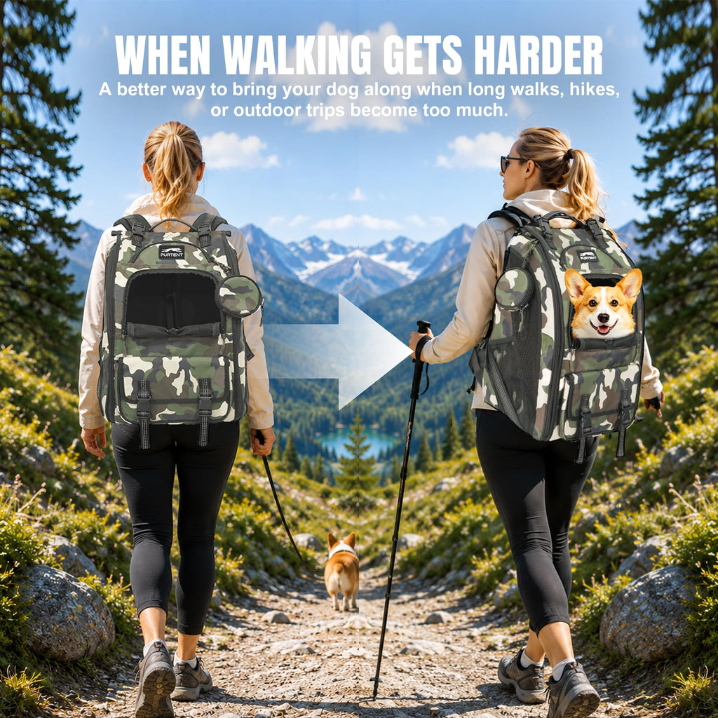 Dog Backpack Carrier Up to 20 lb Q665