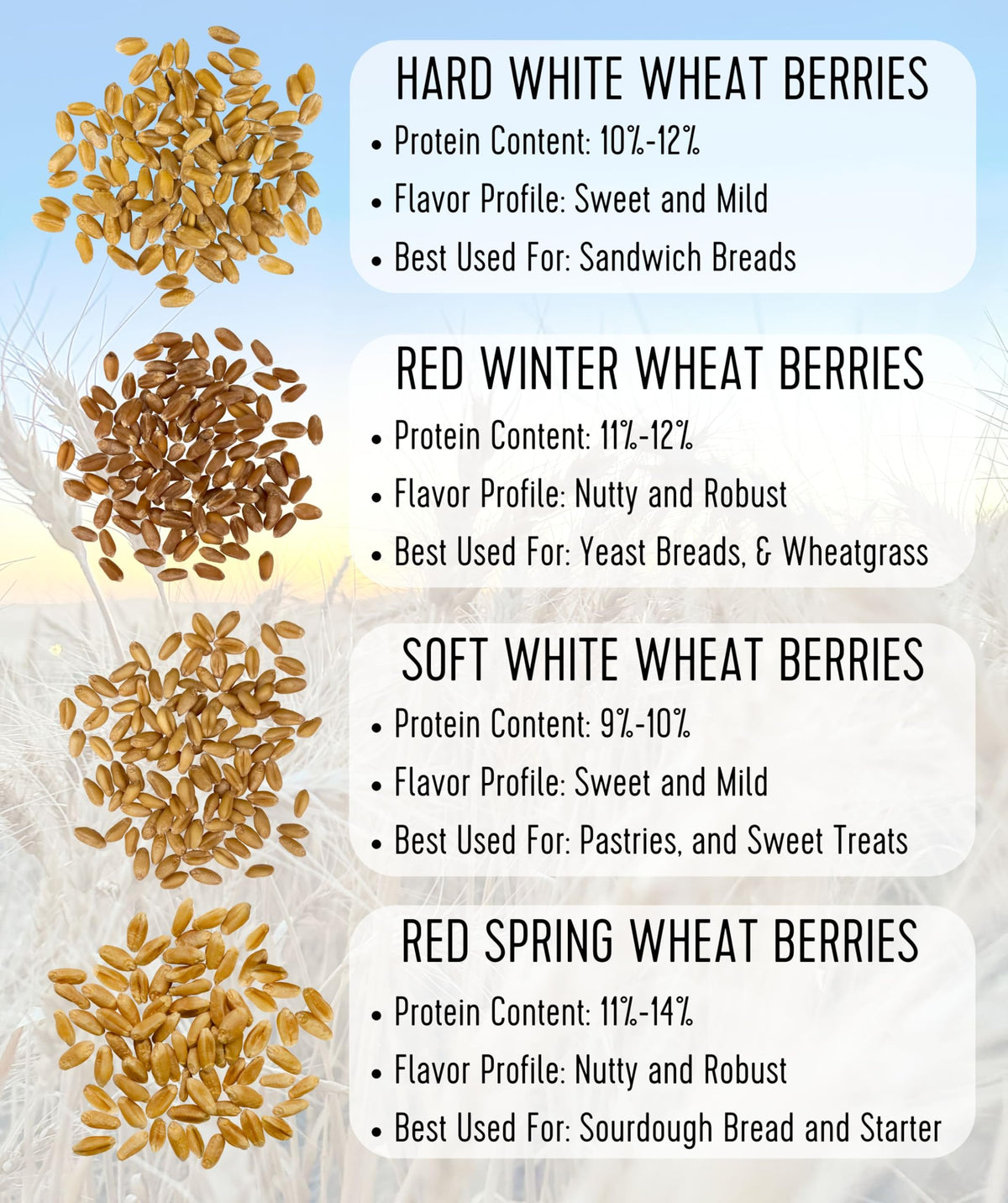 Hard Red Winter Wheat Berries 25 LBS Bag Sproutable Non-GMO Kosher M72146