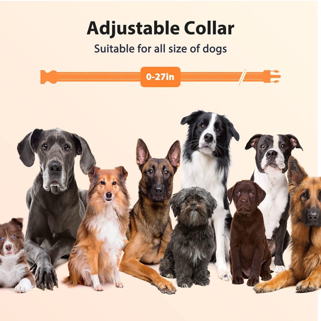 Rechargeable IPX7 Waterproof Dog Training Collar with Remote W55752
