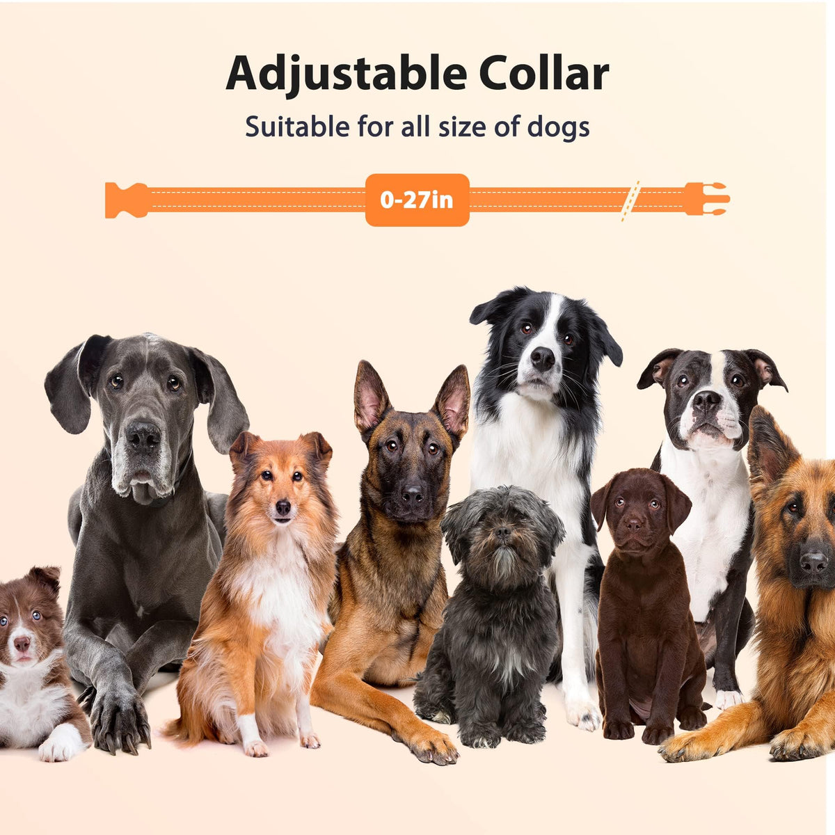 Rechargeable IPX7 Waterproof Dog Training Collar with Remote W55752