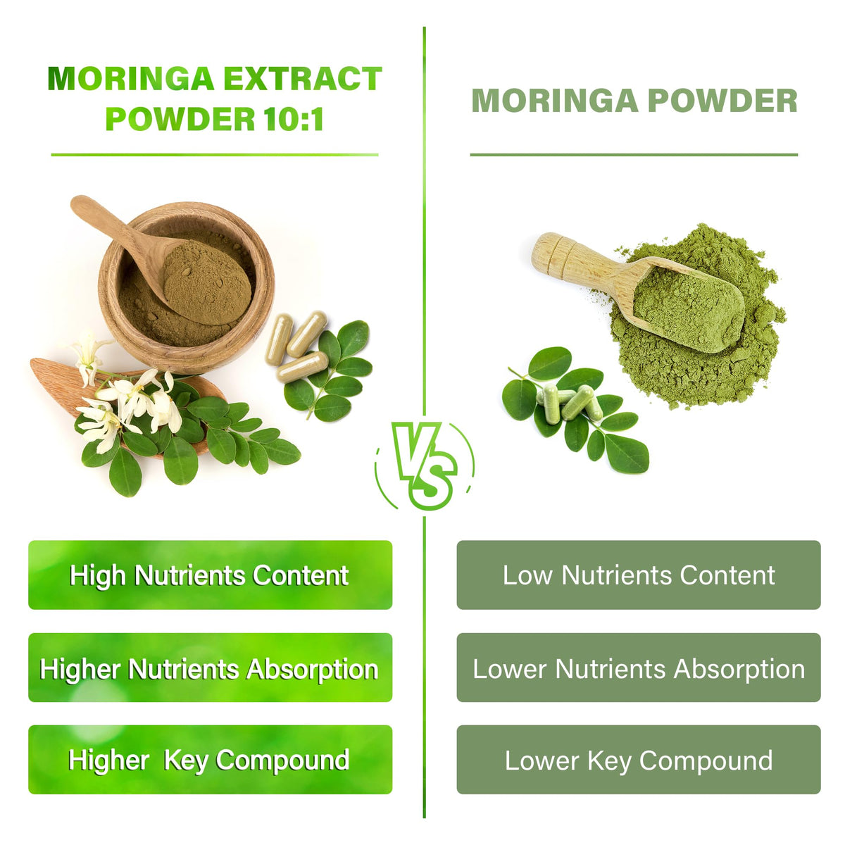 Moringa Capsules 300 Count Y664499