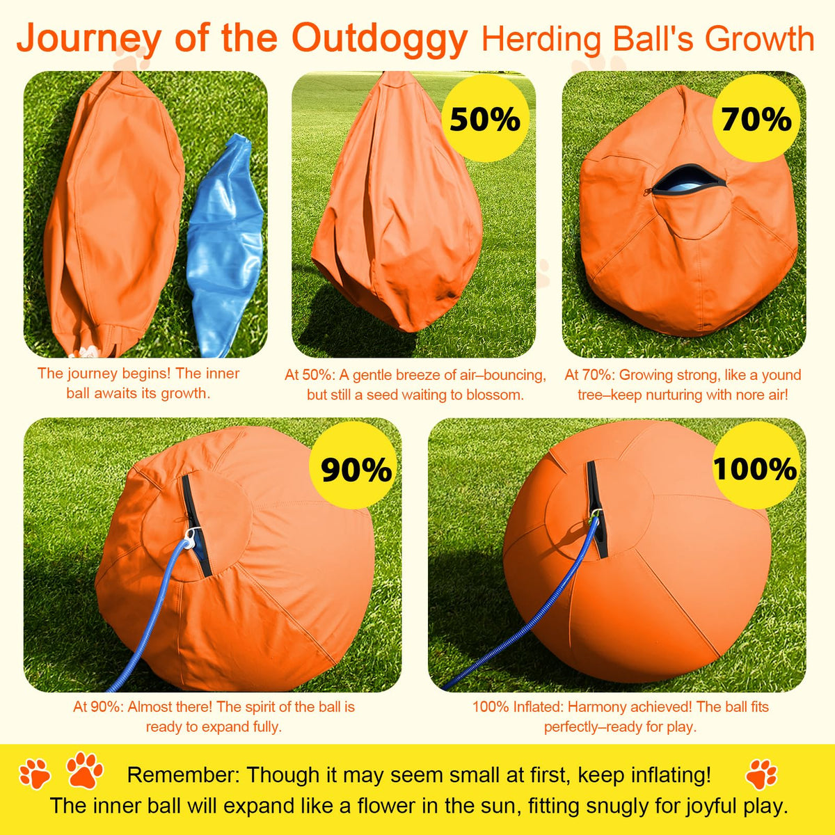 18'' Herding Ball for Dogs B50662