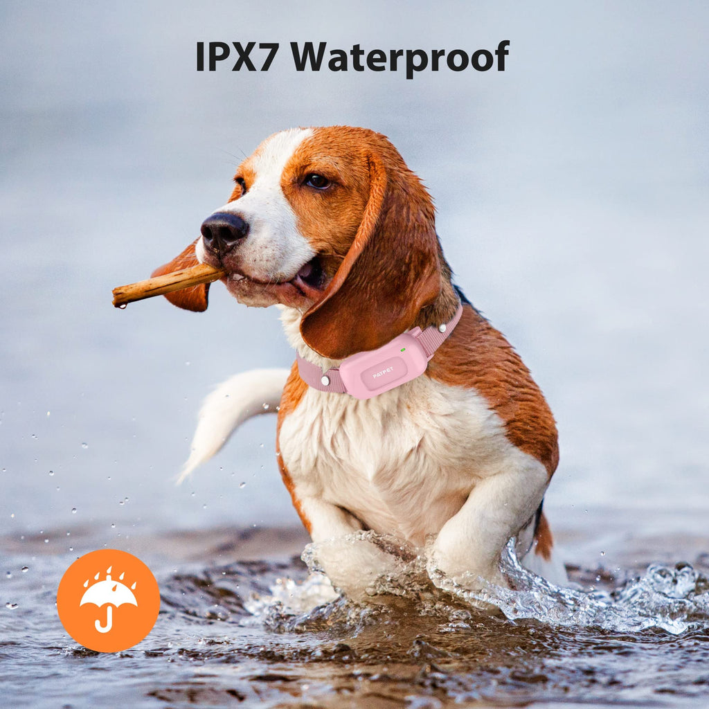 Rechargeable IPX7 Waterproof Dog Training Collar with Remote W55752