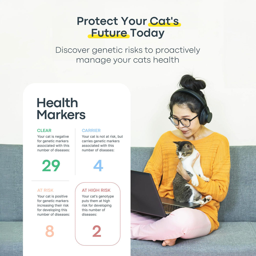 Cat DNA Test Kit O403725