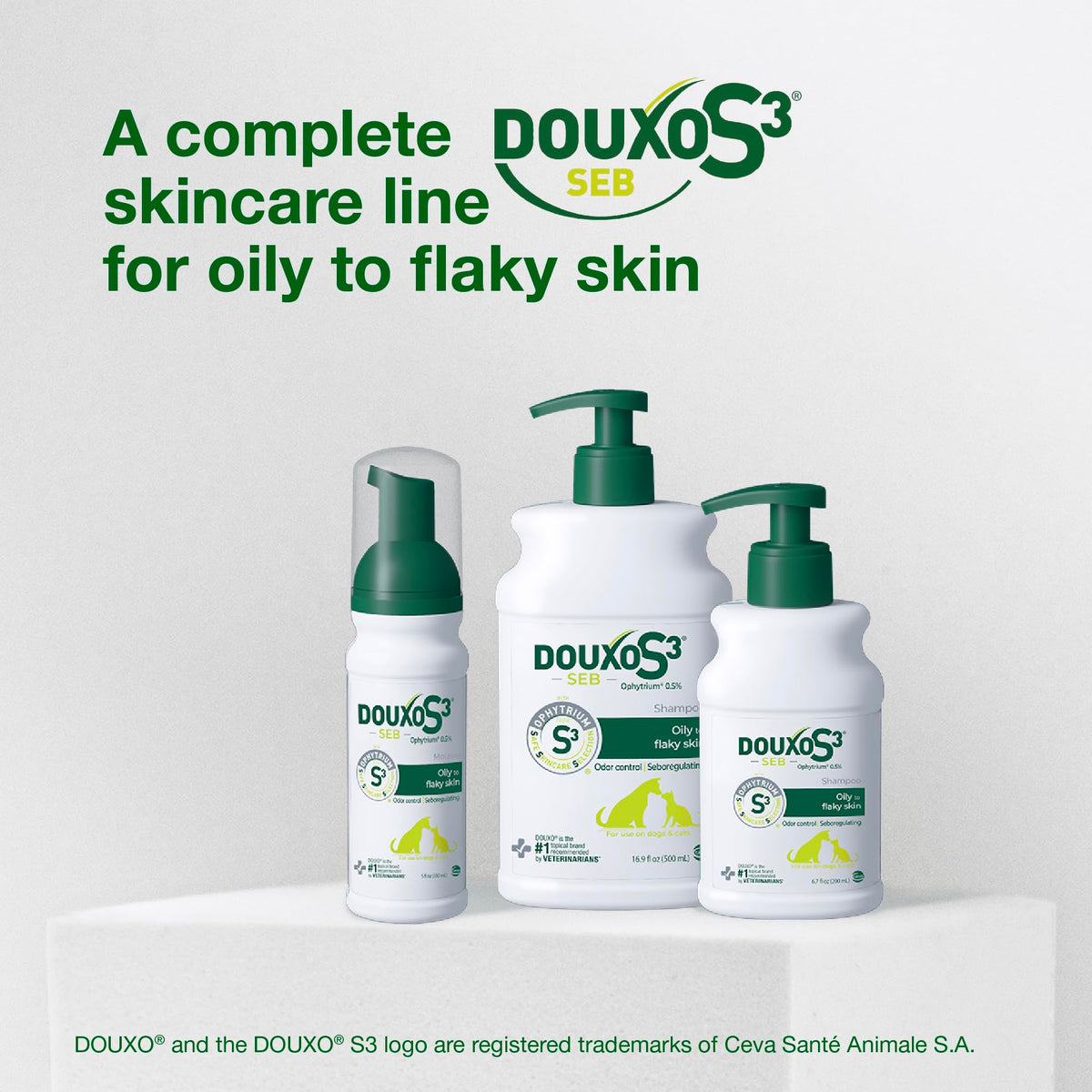 Dog Seboregulating Shampoo & Mousse Y439316